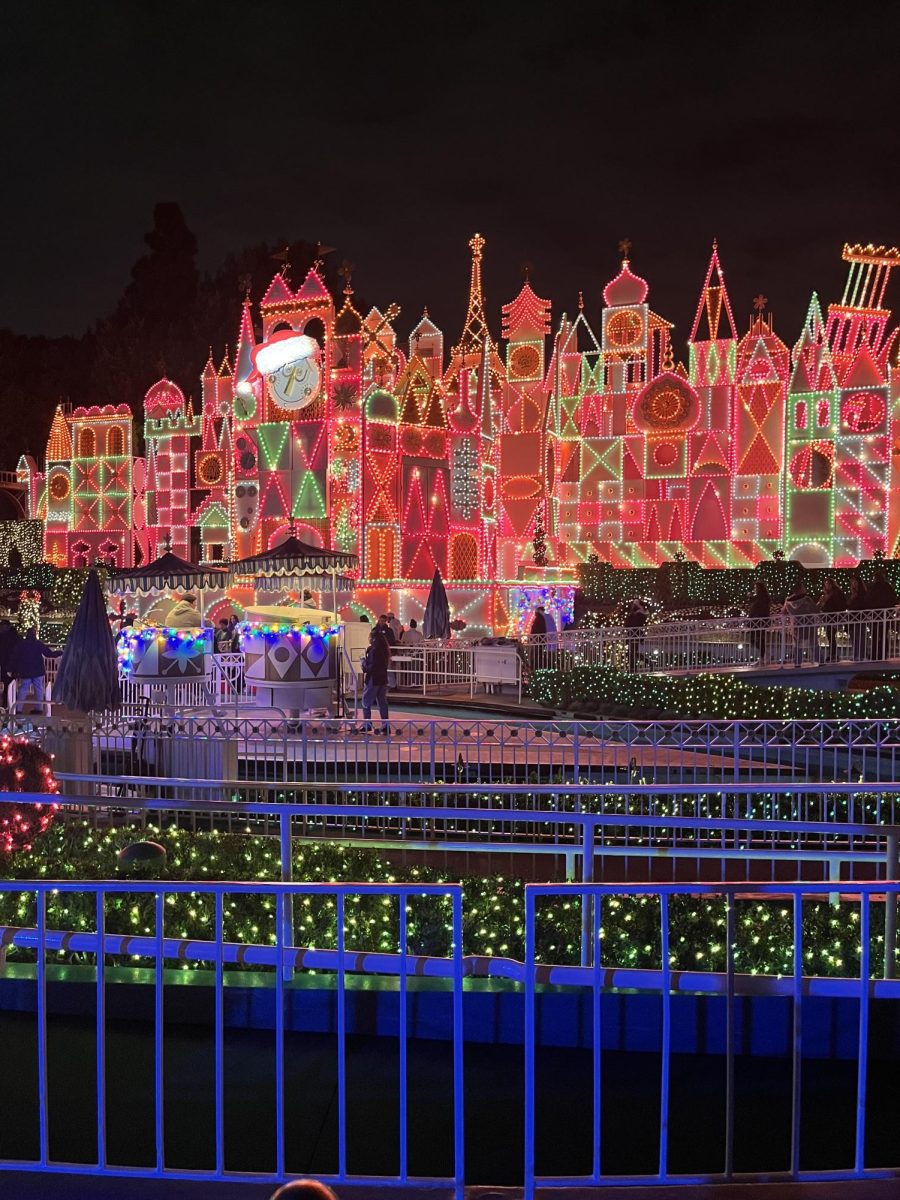My winter break at Disney.
